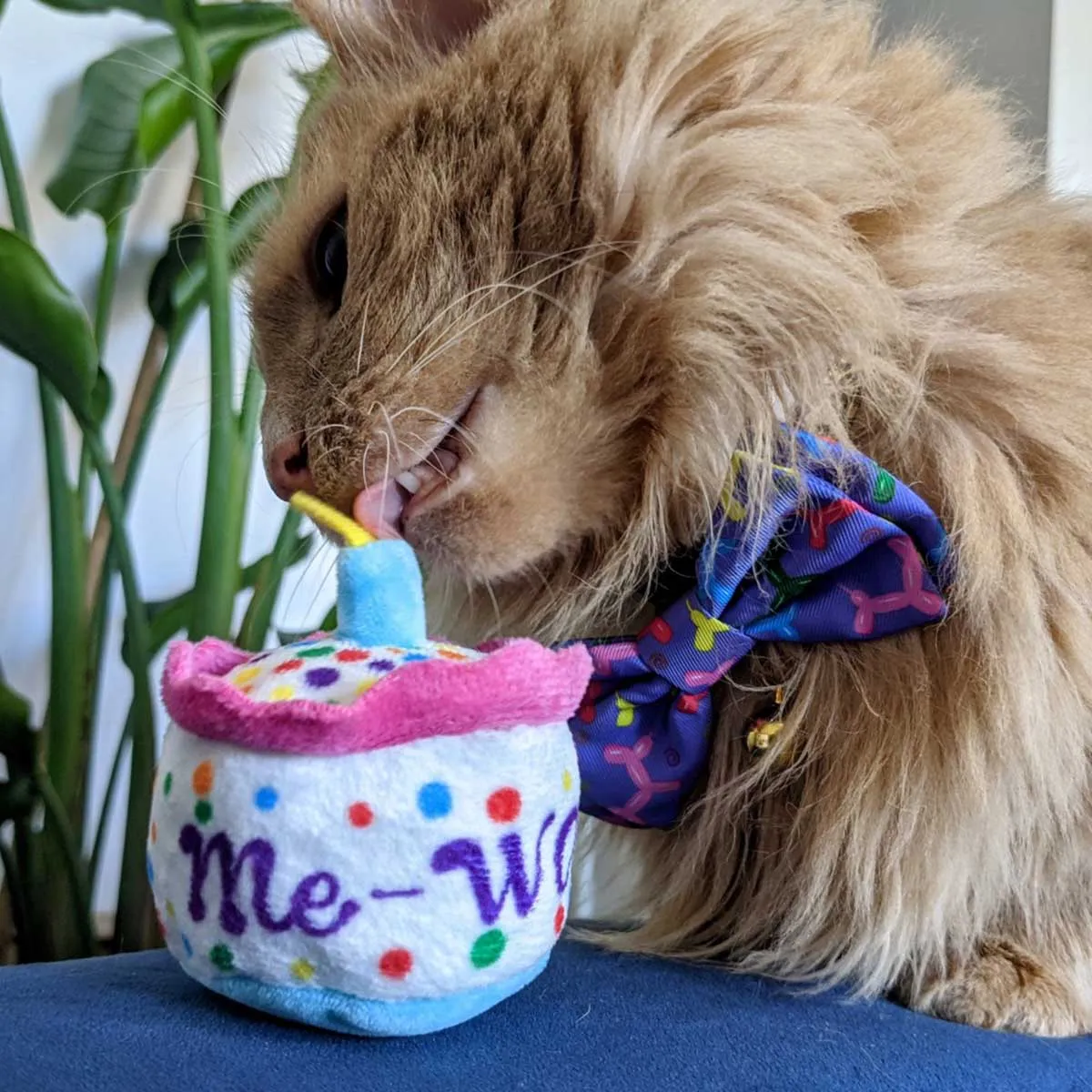 Kittybelles Mewow Cake Plush Catnip Toy