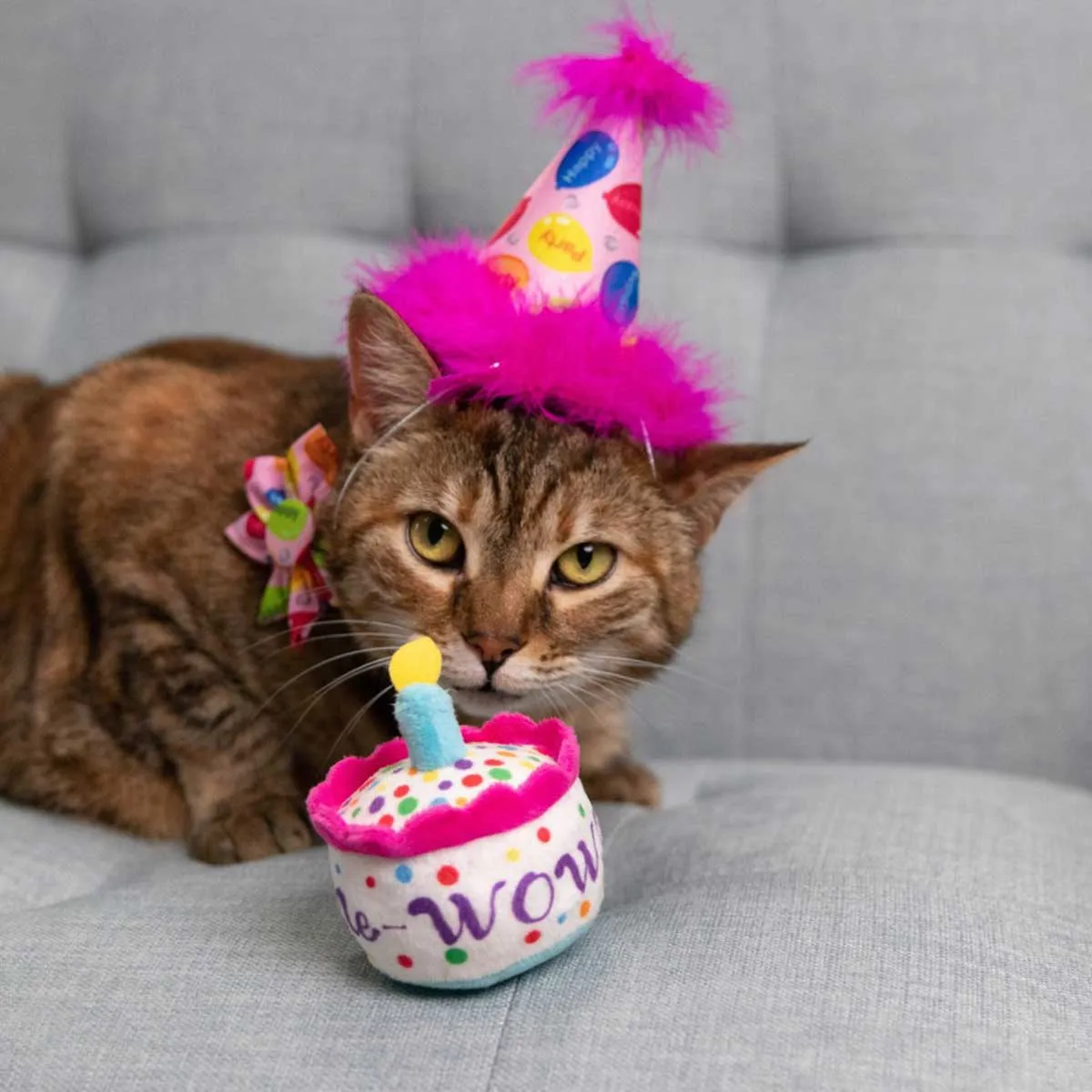 Kittybelles Mewow Cake Plush Catnip Toy