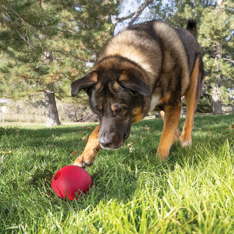 KONG Ball