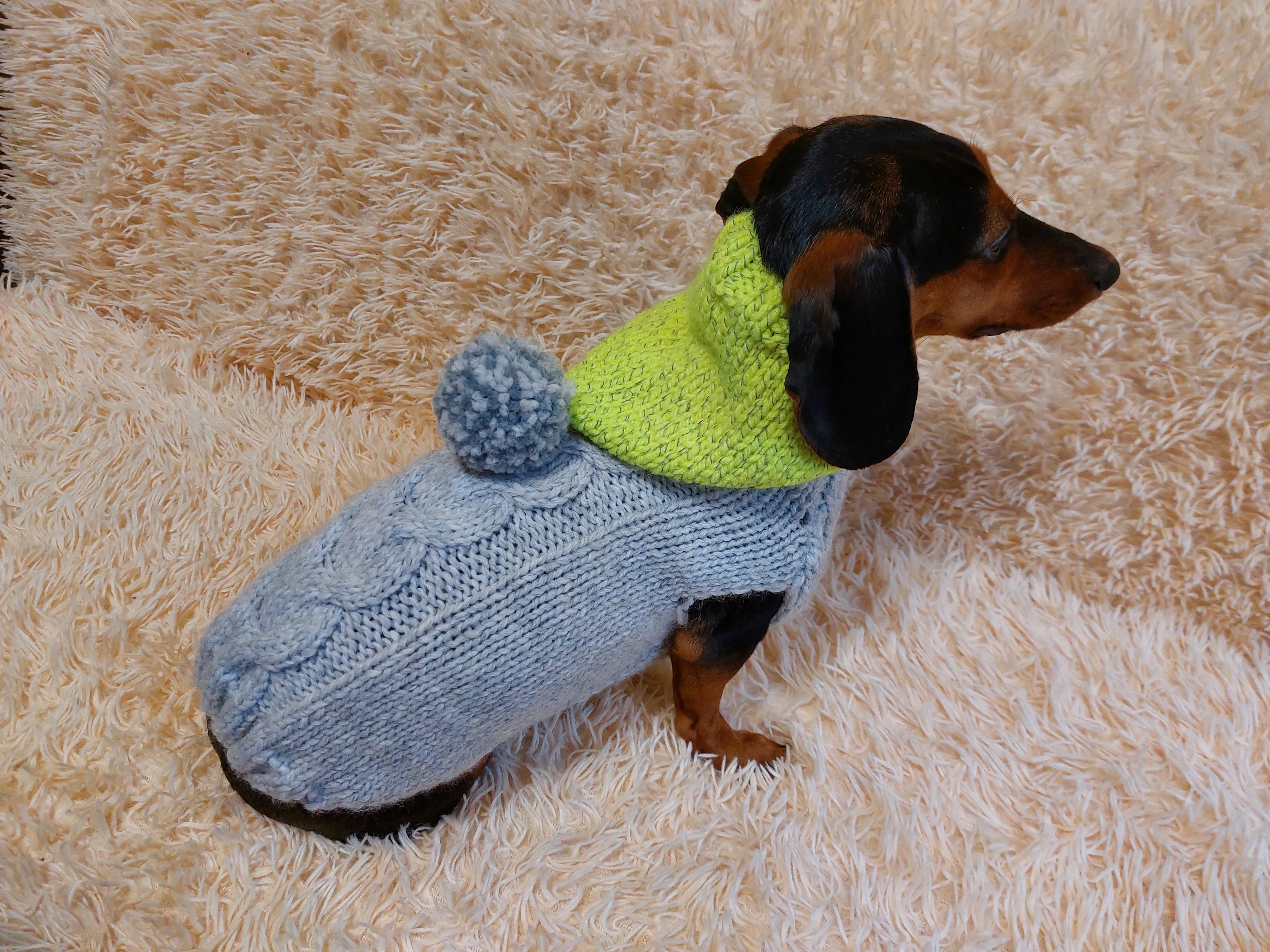 L Winter wool coat with hood for dachshund or small dog