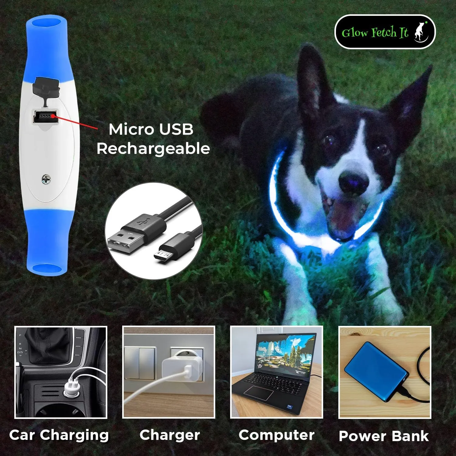 LED Dog Collar, Waterproof Light Up Dog Collar Rechargeable, Dog Safety Necklace for Night Walking, Adjustable Cut-to-Fit Silicone Collar Small Medium Large Dog 27.5 Cuttable (Blue)