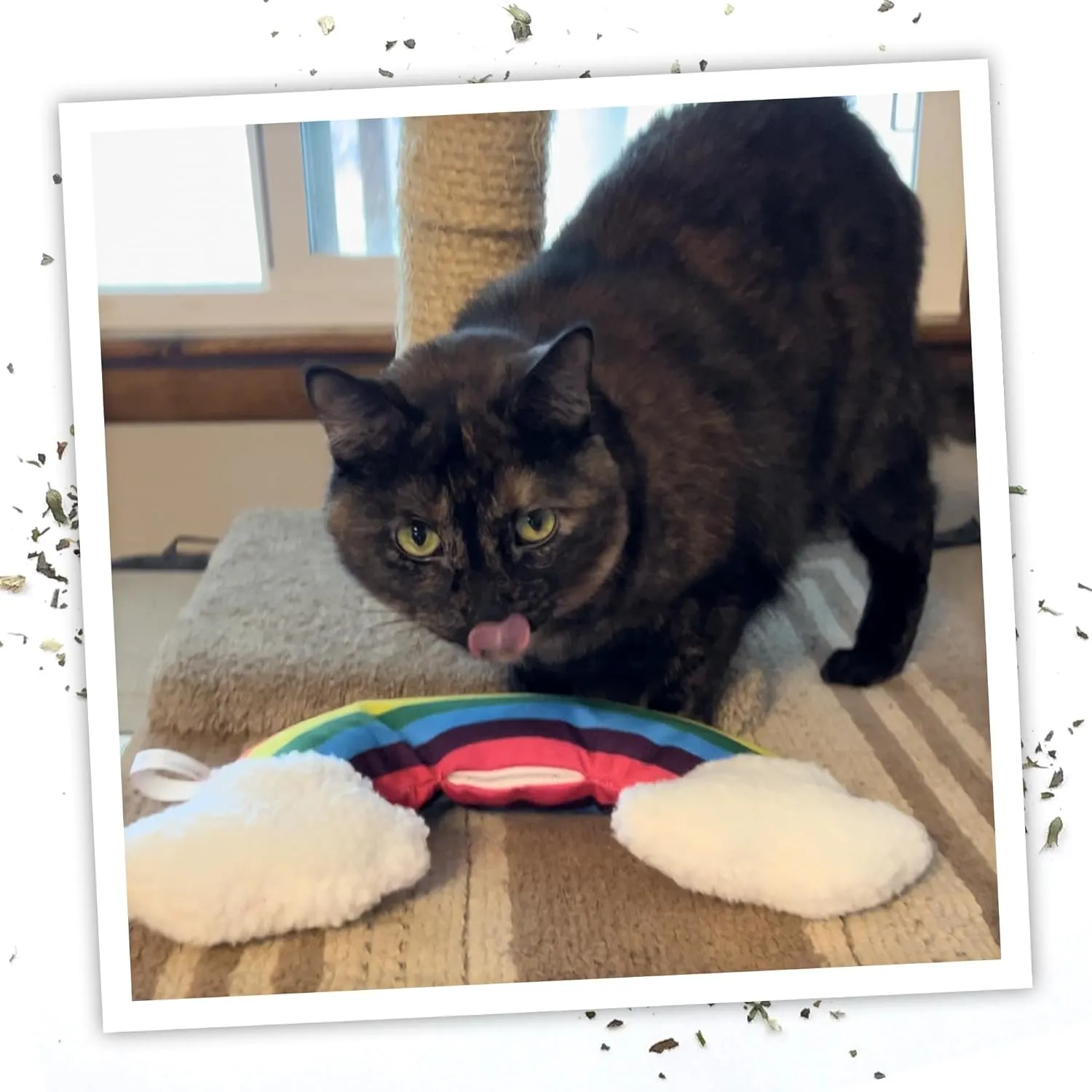 Meowijuana | Get Kickin' | Refillable Rainbow Kicker Cat Toy | Promotes Play and Cat Health | Includes Organic Catnip Grown in North America | Feline and Cat Lover Approved