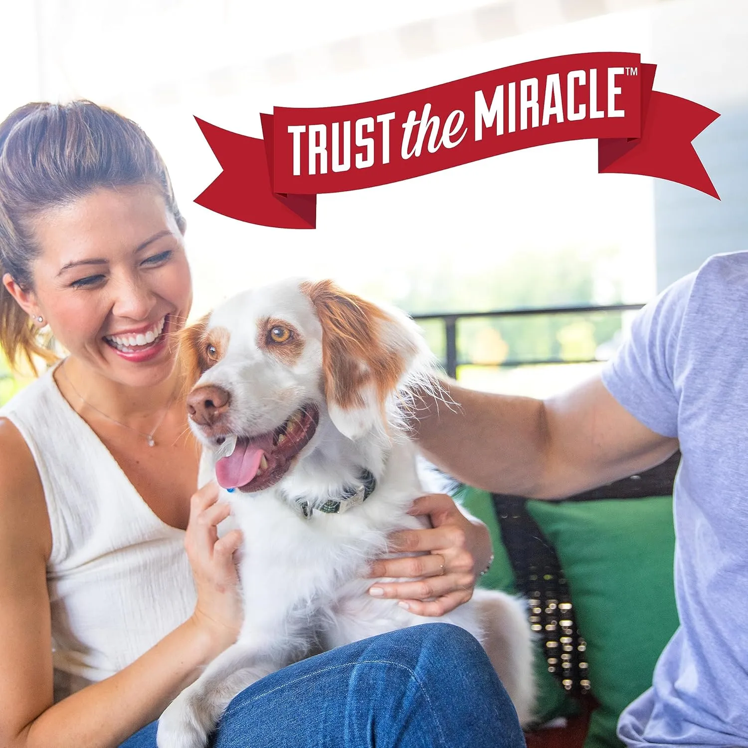Nature's Miracle Freshening Spray For Dogs Freshens Dogs Coat Between Baths And Neutralizes Tough Odors With Sunkissed Breeze Scent, 8 Ounces