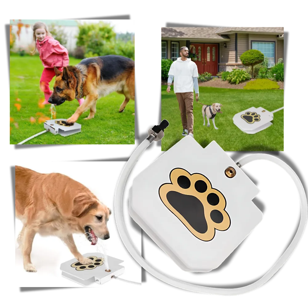 Paw Activated Dog Water Fountain