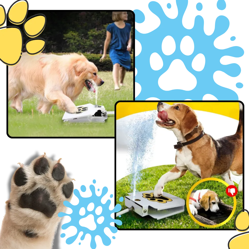 Paw Activated Dog Water Fountain