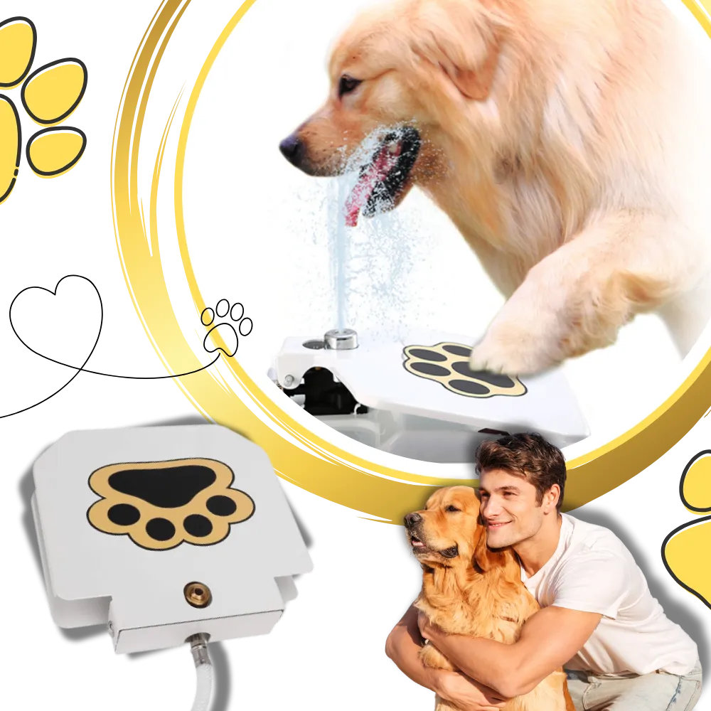 Paw Activated Dog Water Fountain