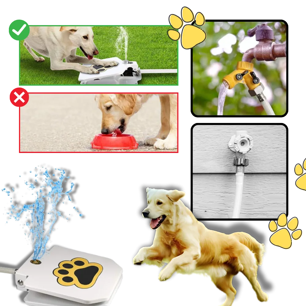 Paw Activated Dog Water Fountain