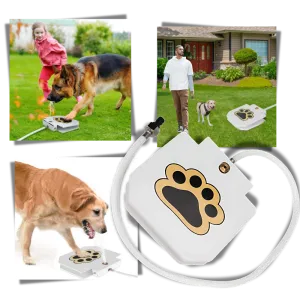 Paw Activated Dog Water Fountain