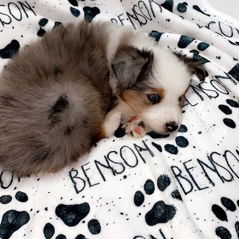 Personalized dog Paw Print Pet Blanket