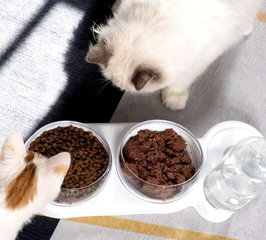 Pet Automatic Tilted Bowl Set