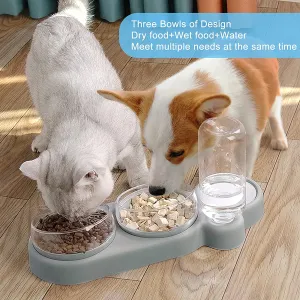 Pet Automatic Tilted Bowl Set