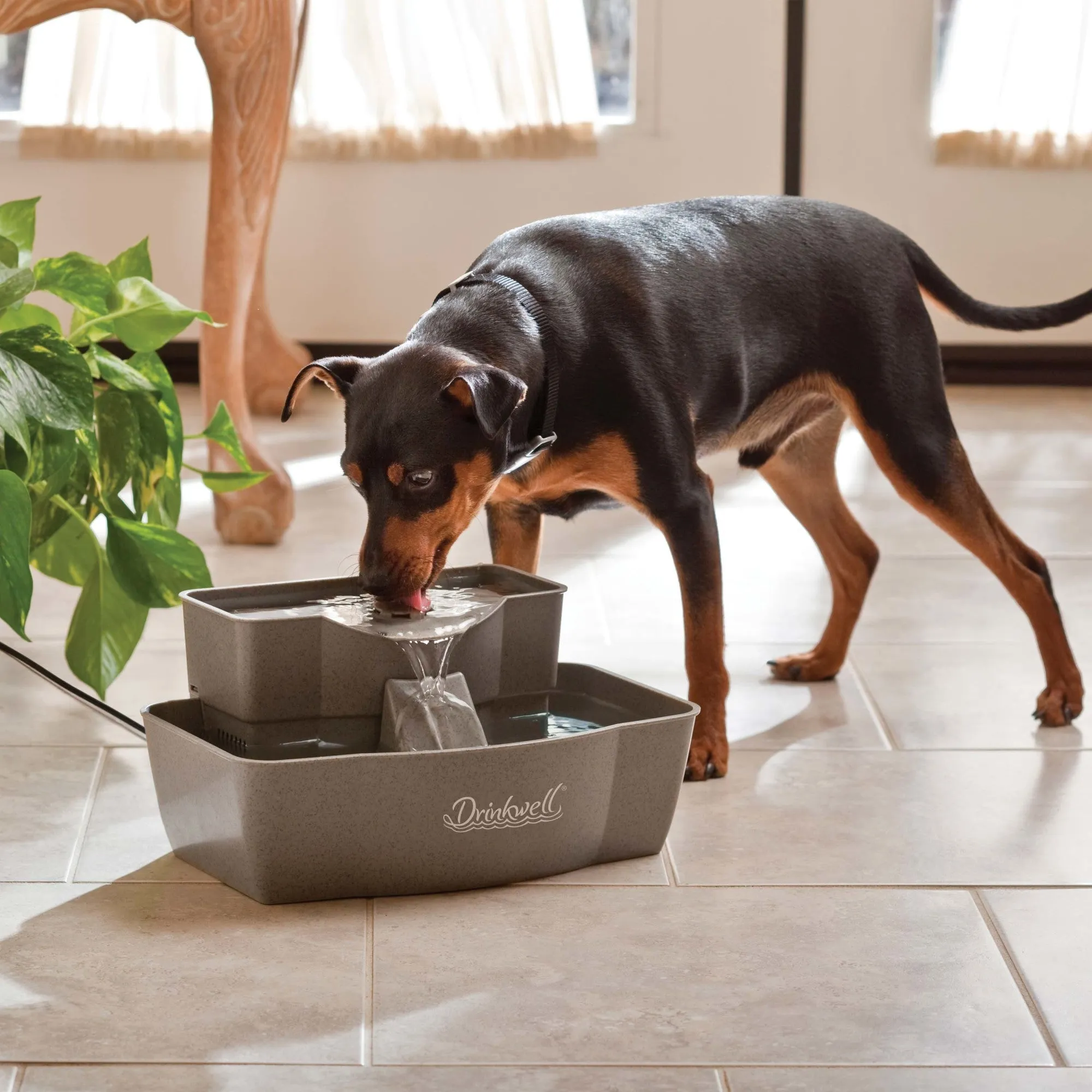 PetSafe® Drinkwell® Multi-Tier Pet Fountain