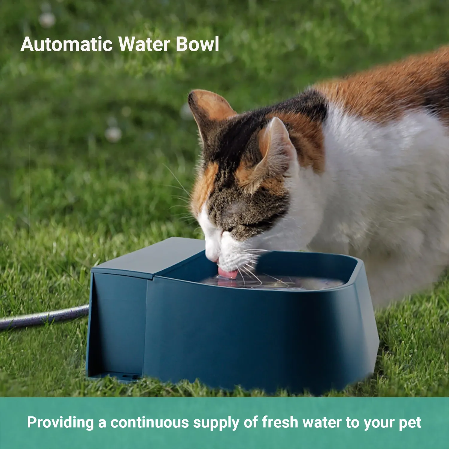 Pipers Pet Water Bowl Heating Constant Temperature Automatic Dispenser Feeding