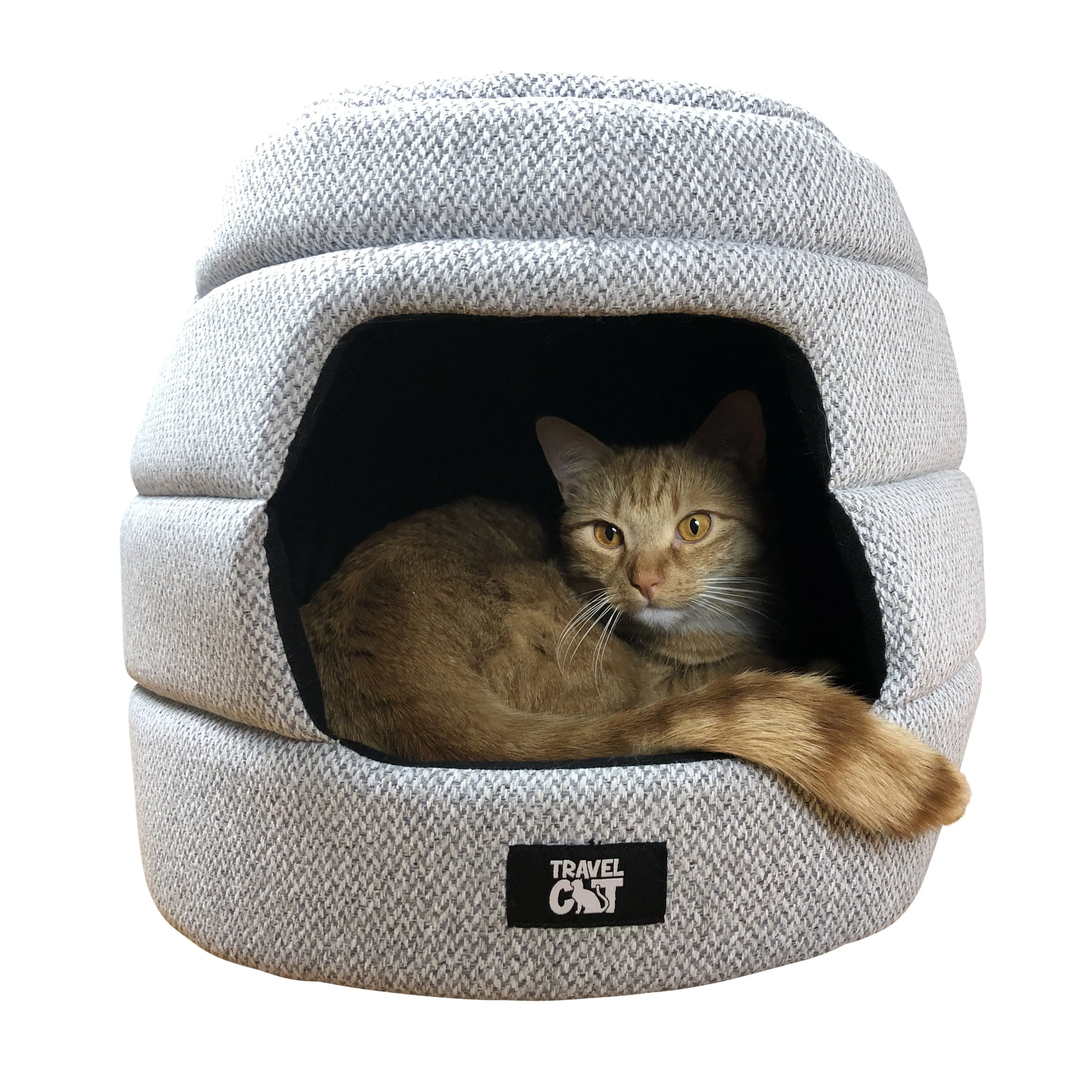 "The Whole Kitten Kaboodle" Bundle