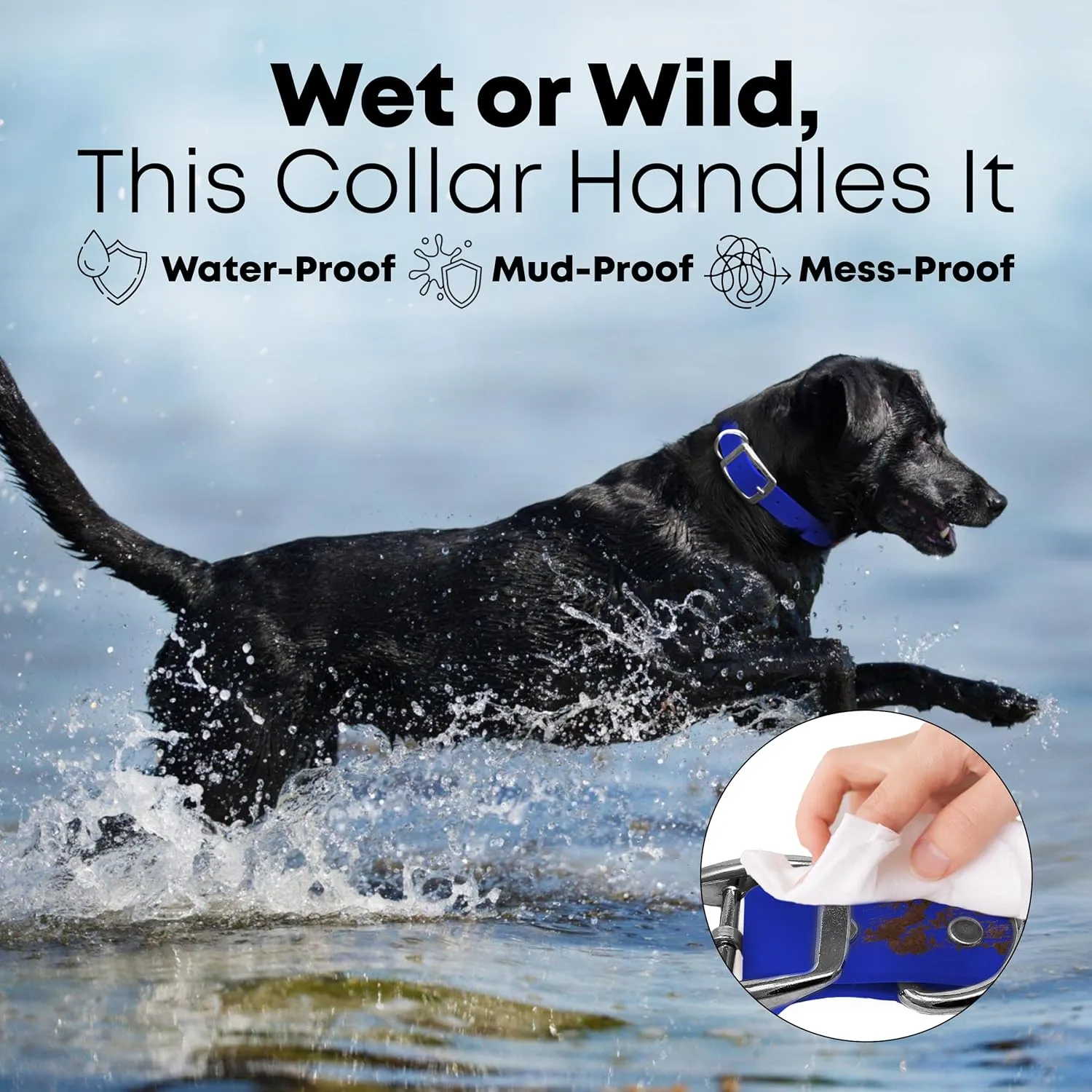 Regal Dog Products Medium Blue Waterproof Dog Collars with Custom Engraved Name Plate | Vinyl Coated, Anti, Easy to Clean Personalized Biothane Dog Collar - Other Sizes for Small & Large Dogs