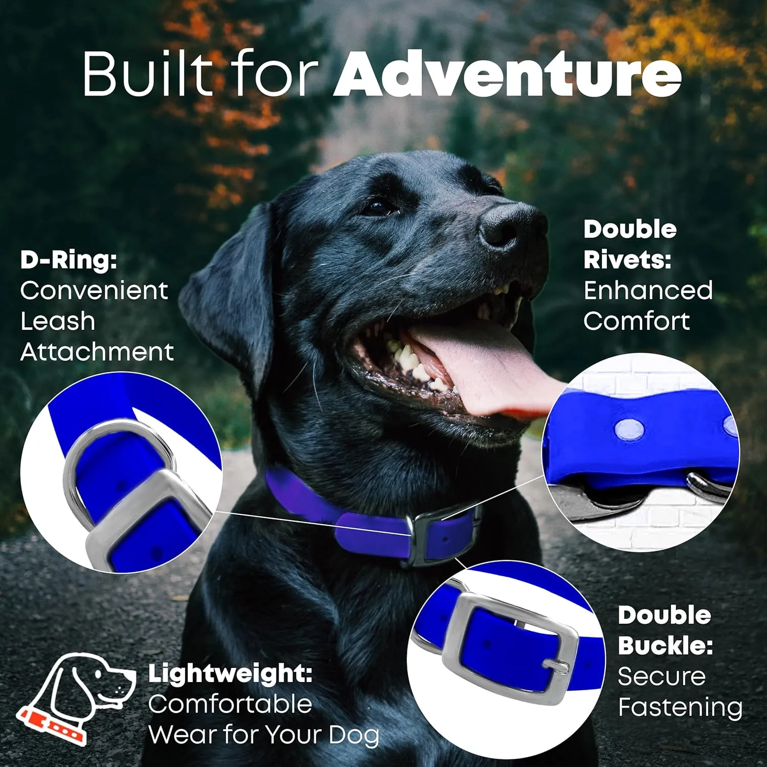 Regal Dog Products Medium Blue Waterproof Dog Collars with Custom Engraved Name Plate | Vinyl Coated, Anti, Easy to Clean Personalized Biothane Dog Collar - Other Sizes for Small & Large Dogs