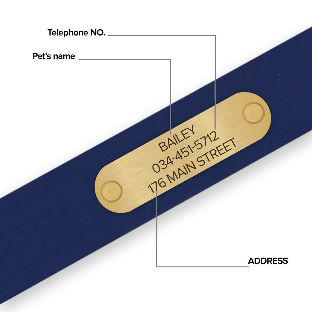 Regal Dog Products Medium Blue Waterproof Dog Collars with Custom Engraved Name Plate | Vinyl Coated, Anti, Easy to Clean Personalized Biothane Dog Collar - Other Sizes for Small & Large Dogs