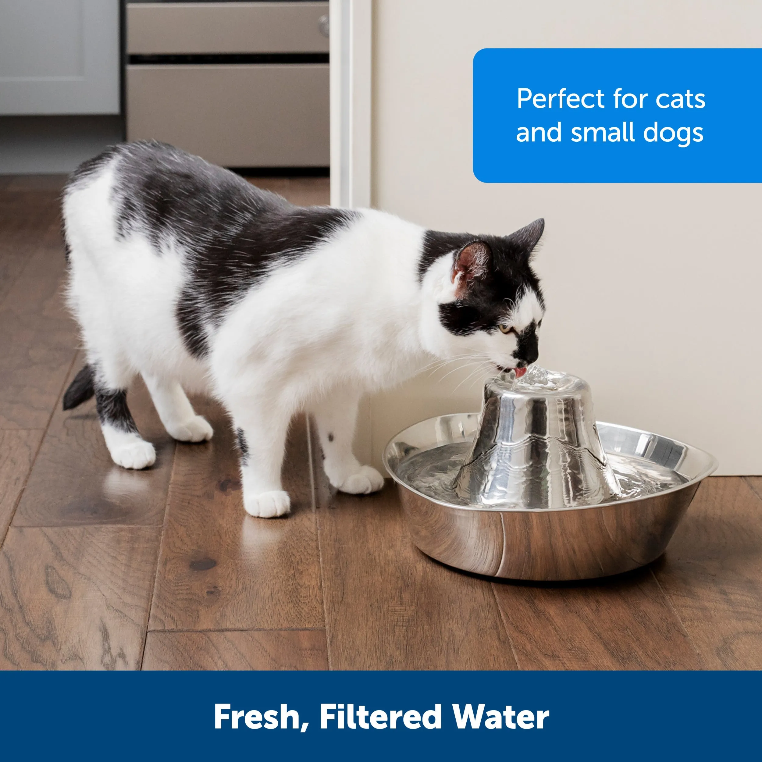 Seaside Stainless Pet Fountain