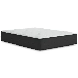 Sierra Sleep Palisades Firm M41511 Twin Mattress