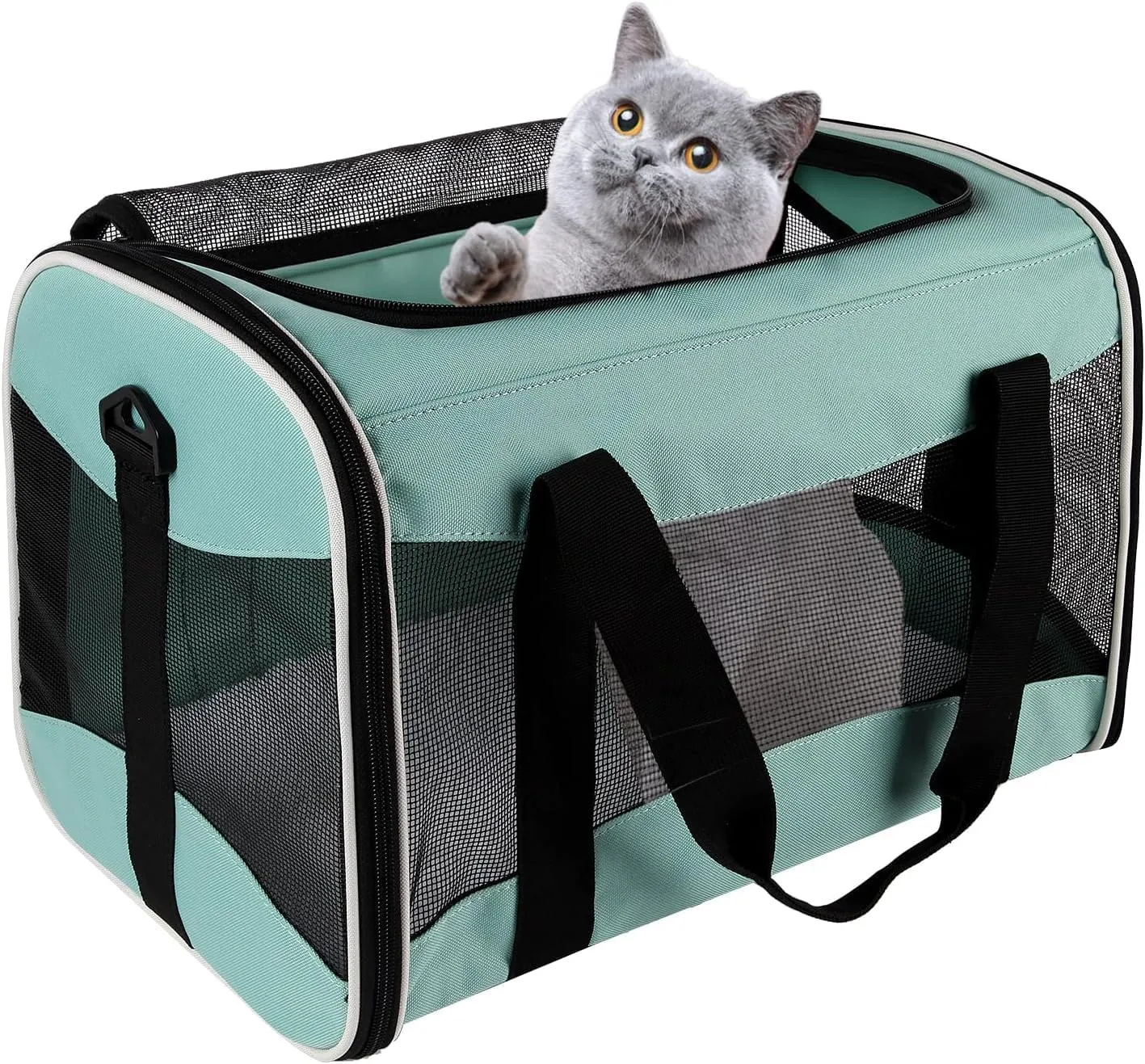 Small Animal Travel, Carrier for Hedgehog Rat Parrot Bird Guinea Pig, Lizards Carrier, Soft Sided Travel Carrier Portable Guinea Pig Up to 10 Lbs (15 * 10 * 10, Green)
