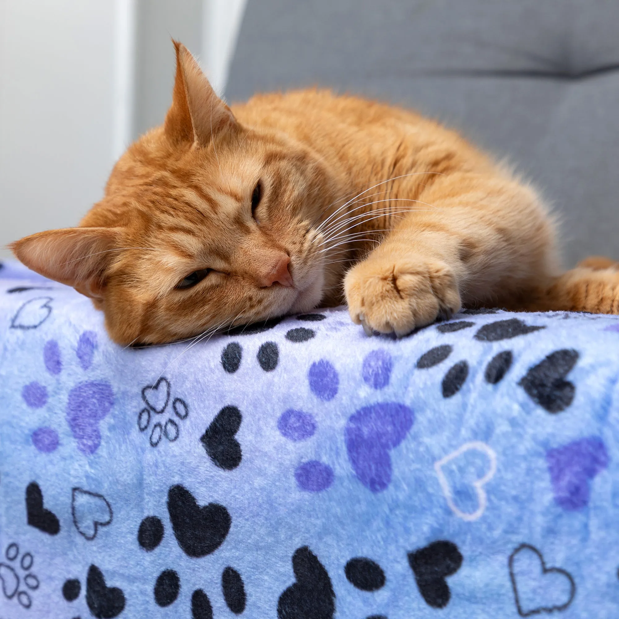 Soft & Cozy Furry Friends Pet Blanket