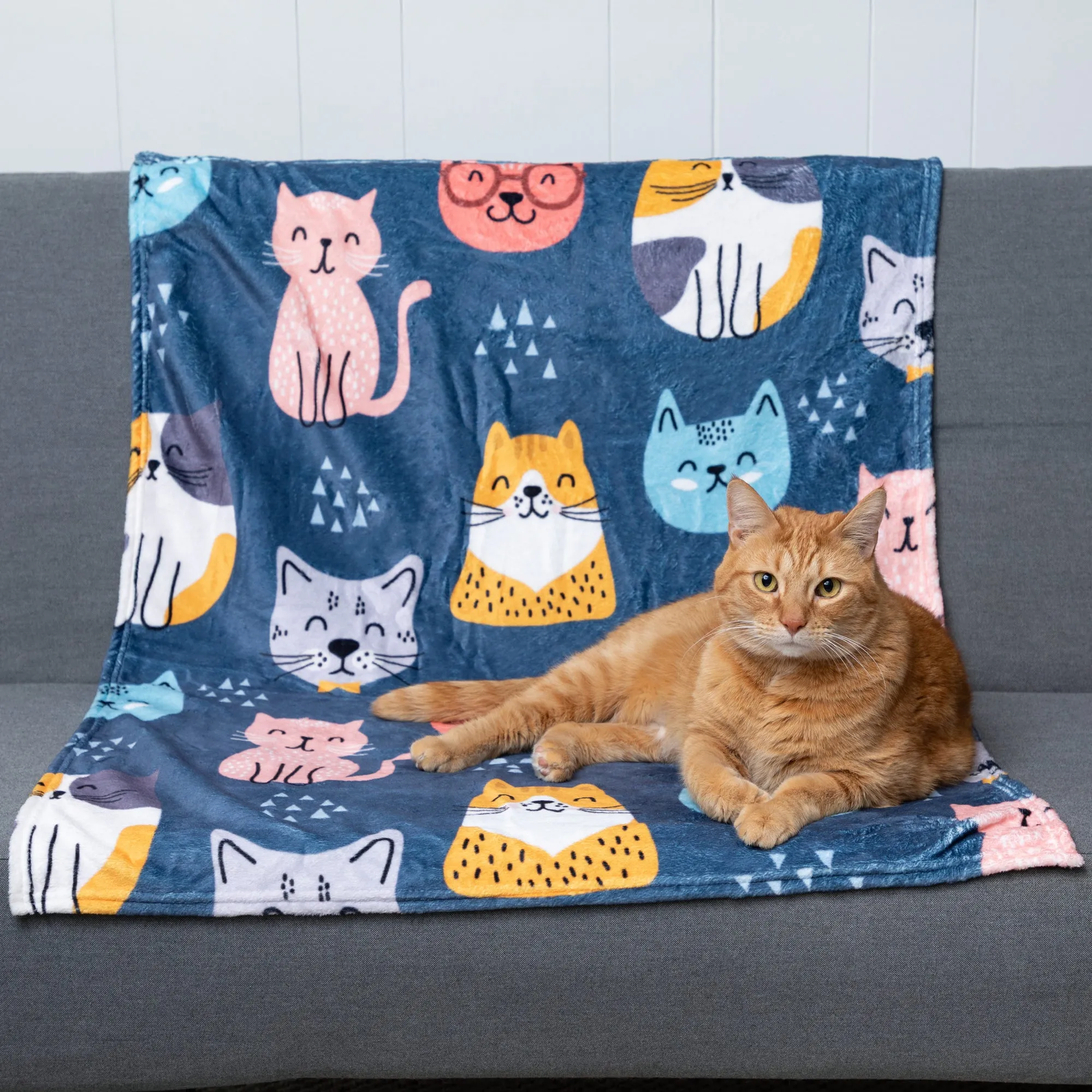 Soft & Cozy Furry Friends Pet Blanket