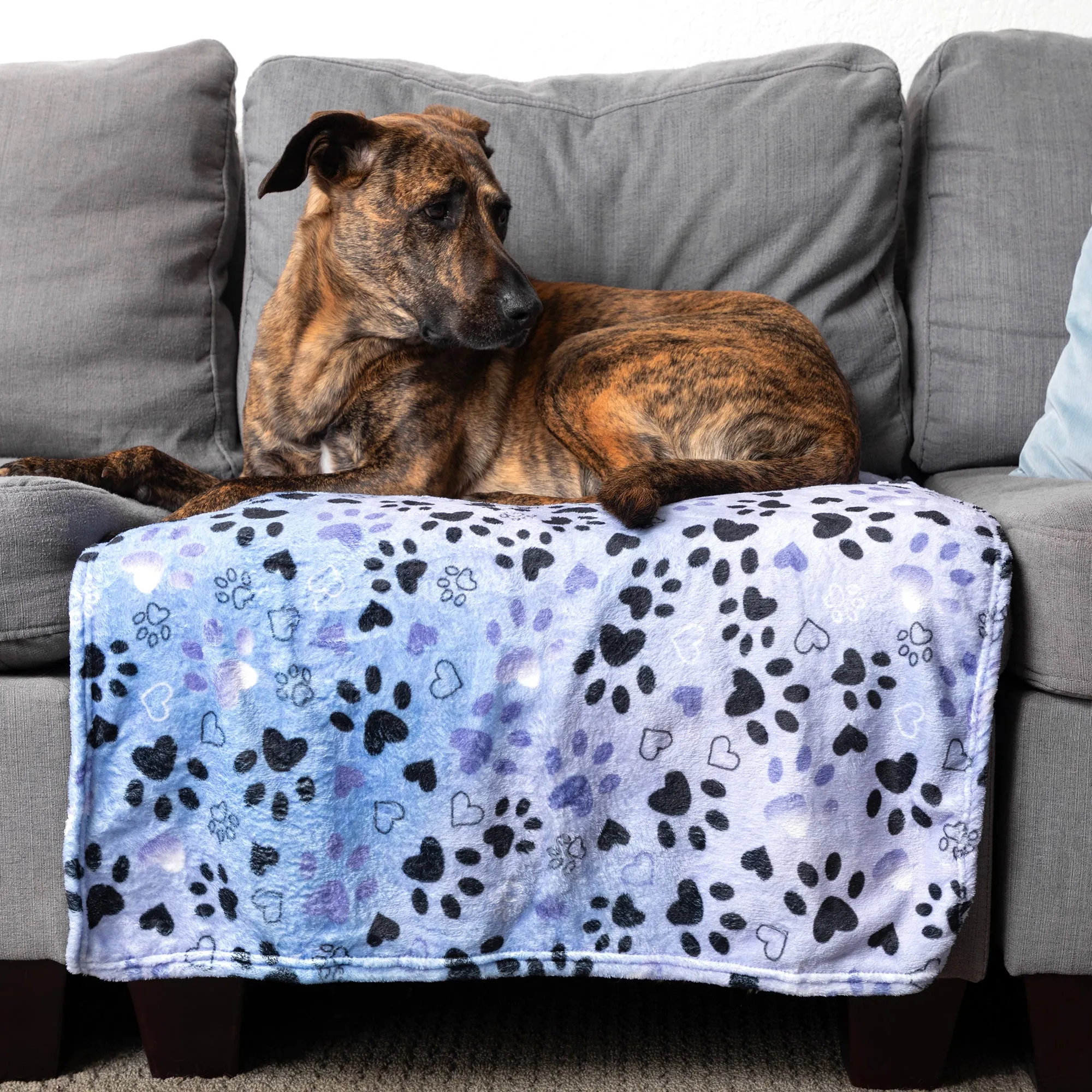 Soft & Cozy Furry Friends Pet Blanket
