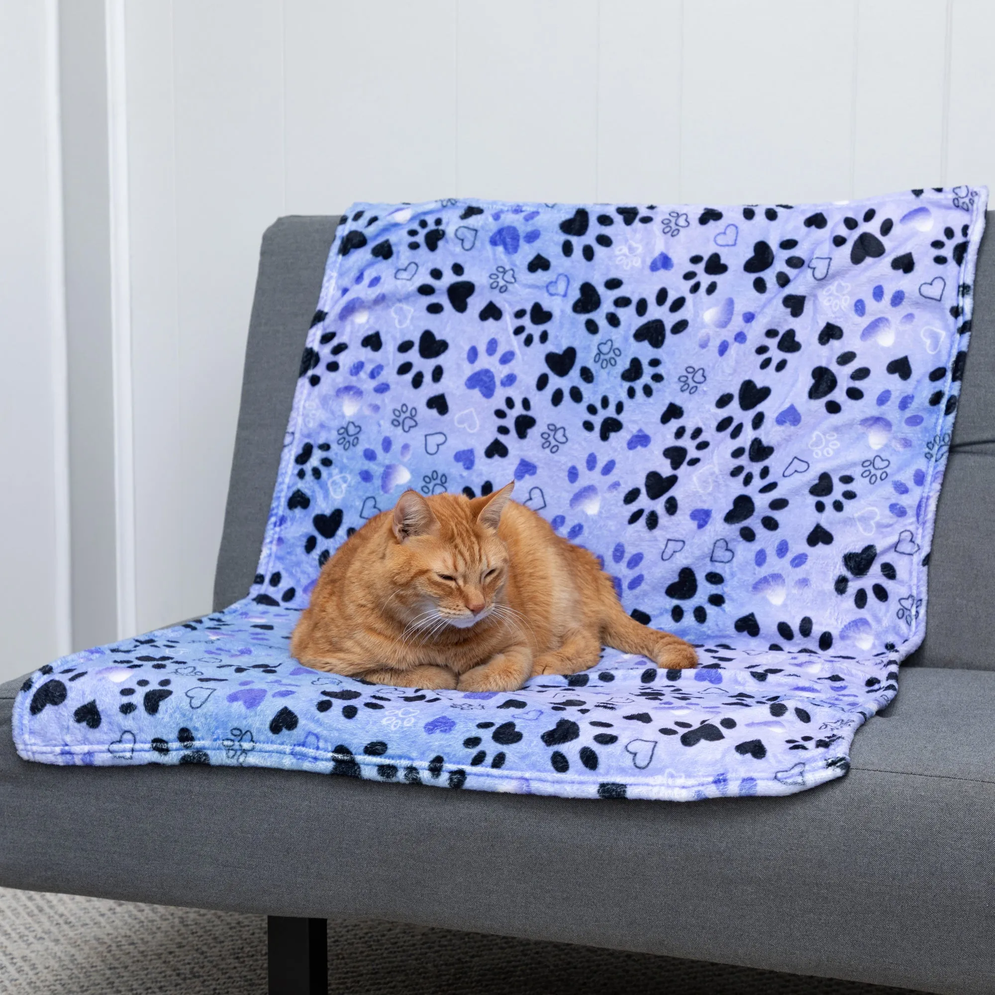 Soft & Cozy Furry Friends Pet Blanket