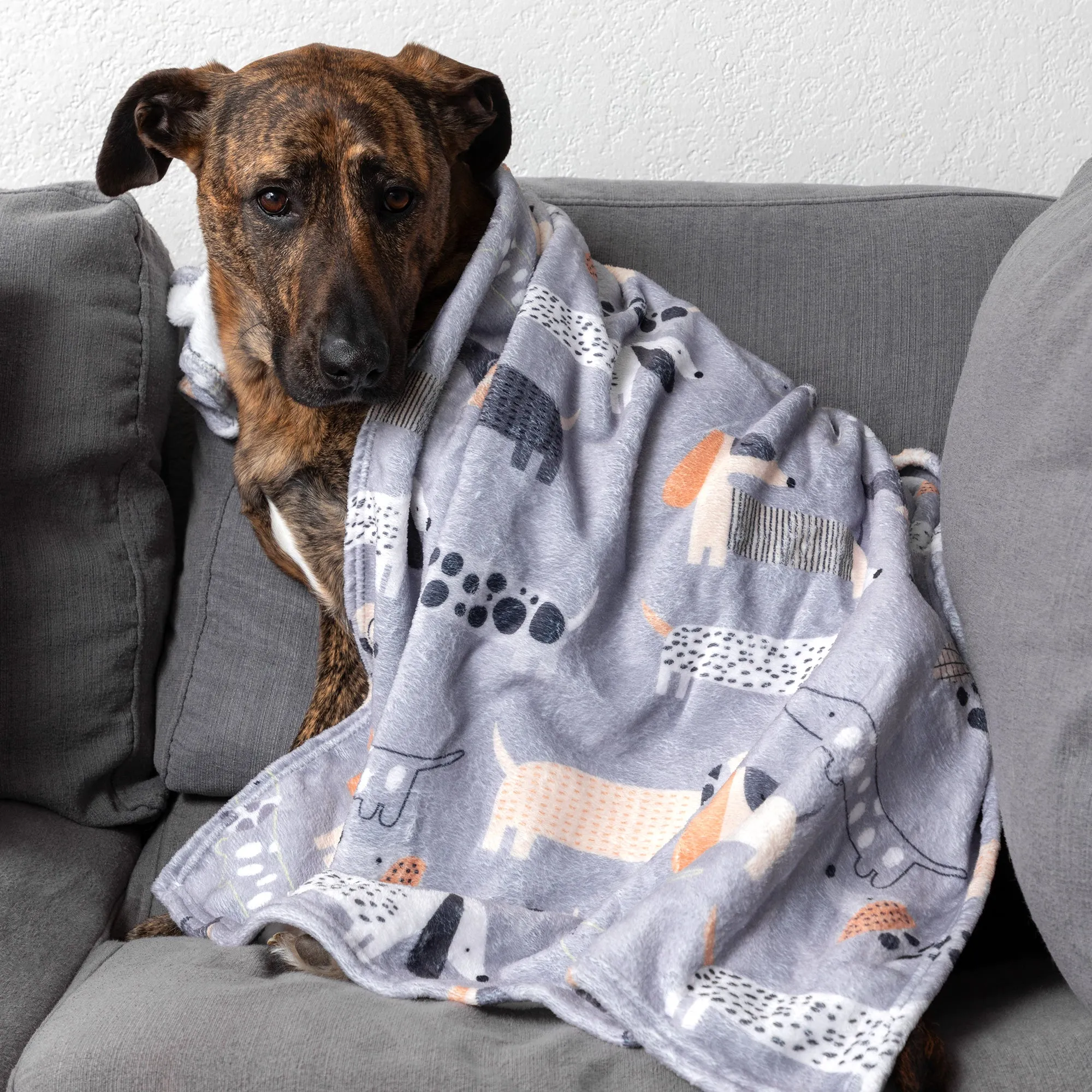 Soft & Cozy Furry Friends Pet Blanket