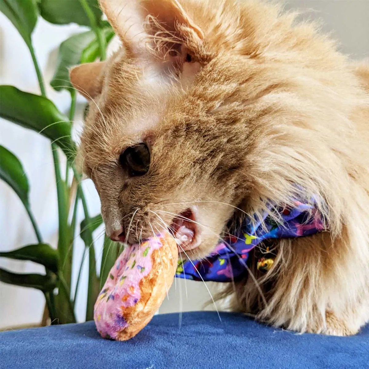 Strawberry Donut Plush Catnip Toy
