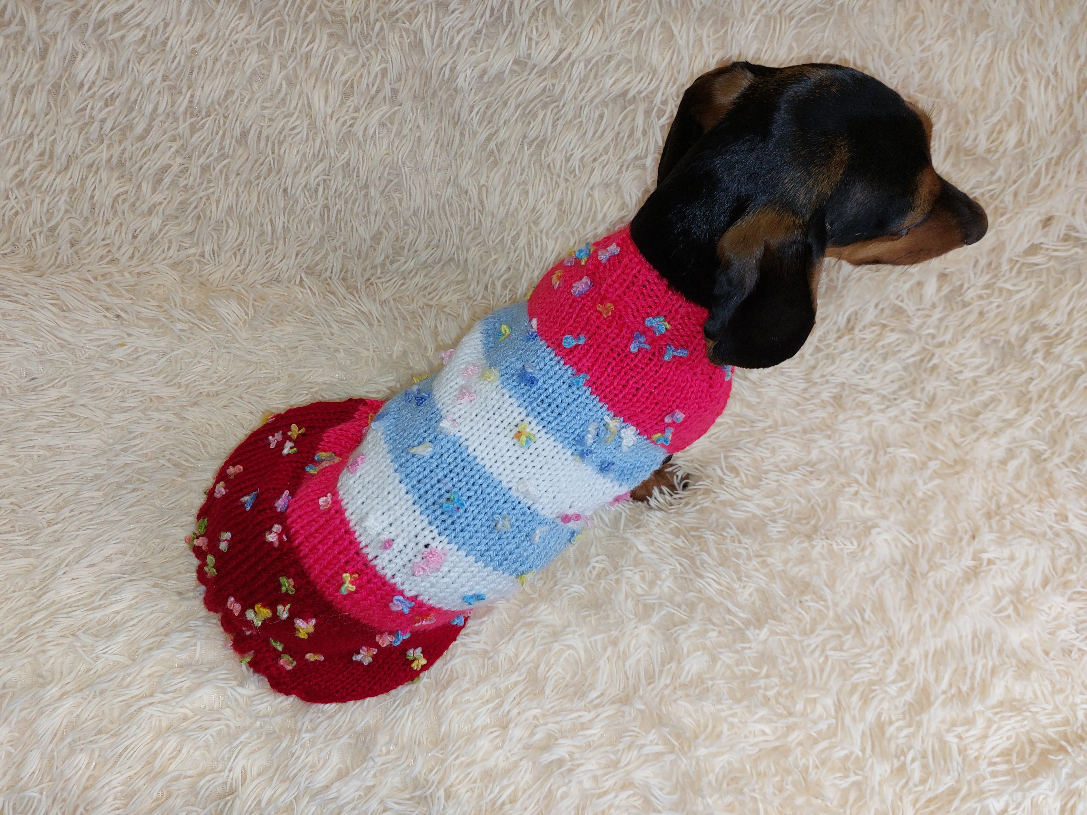 Striped floral bright outfit for a dog with flowers