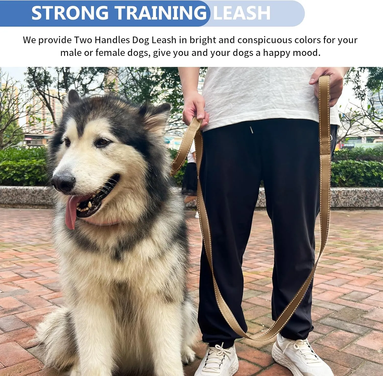 Strong Heavy Duty Dog Leash - 5ft Reflective Nylon Training Leash with Soft Padded Double Handle & Auto Lock Frog Clip - Safety Traffic Control for Large Medium Small Dogs No Pull Walk Khaki,6ft