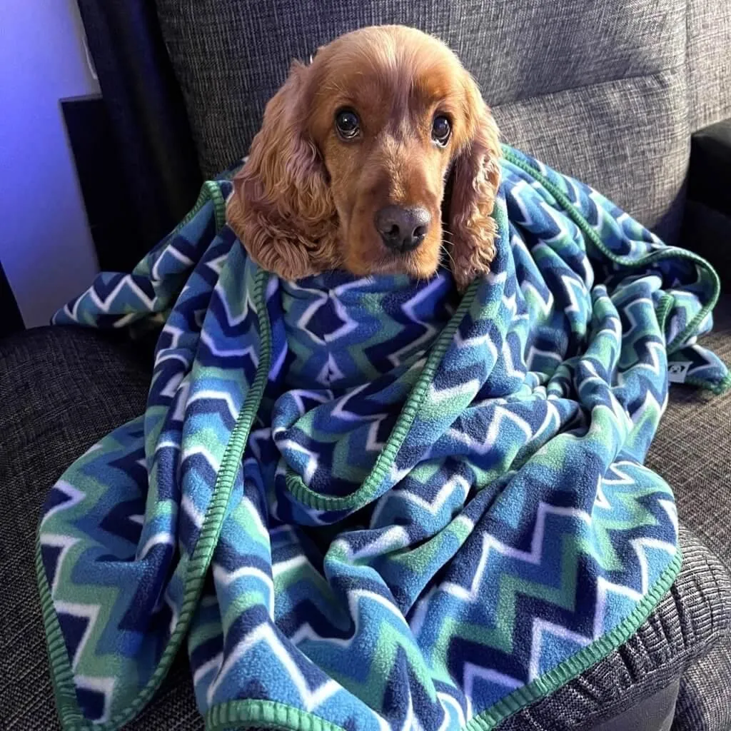 The Floofy Fleece Dog Blanket | Green Stripe