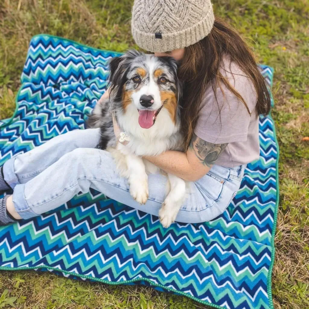 The Floofy Fleece Dog Blanket | Green Stripe