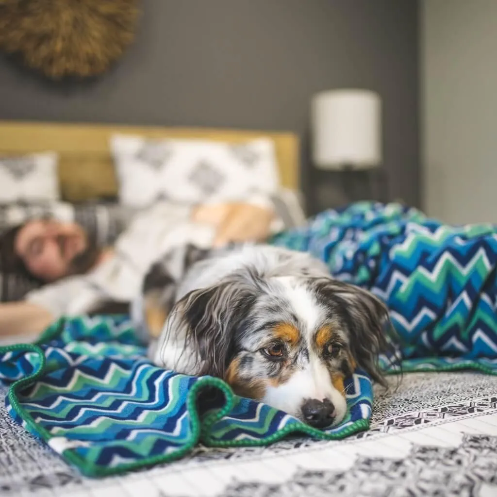 The Floofy Fleece Dog Blanket | Green Stripe