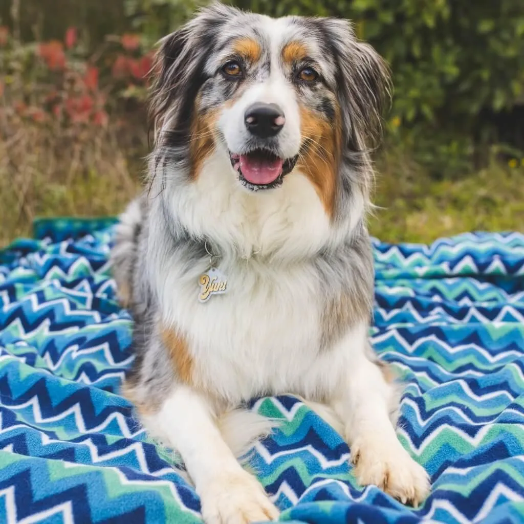 The Floofy Fleece Dog Blanket | Green Stripe