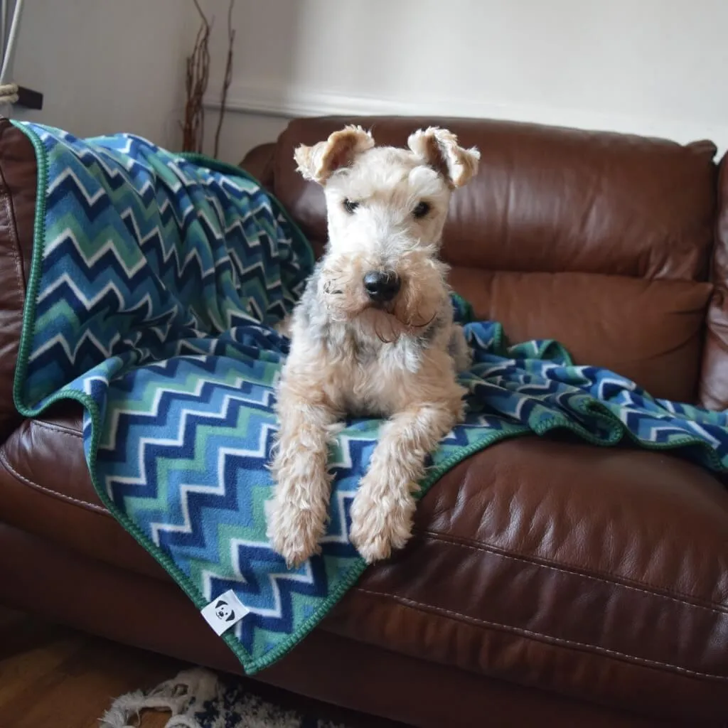 The Floofy Fleece Dog Blanket | Green Stripe