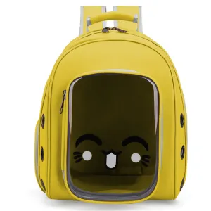Transparent Carrying Backpack for Outdoor