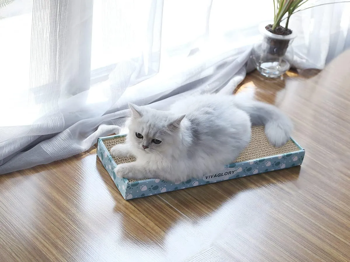 VIVAGLORY Cat Scratcher - Reversible Scratching Board & Pad Set, Cardboard, Catnip Included, 1 Pack