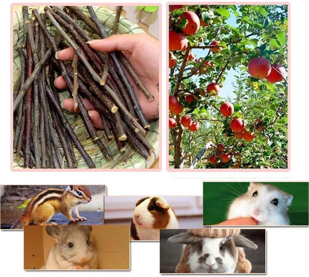 William Craft 250g Apple Sticks Pet Chew Toys Treats for Chinchilla Guinea Pigs Rabbits Squirrel Hamster Bunny 8.8 Ounce