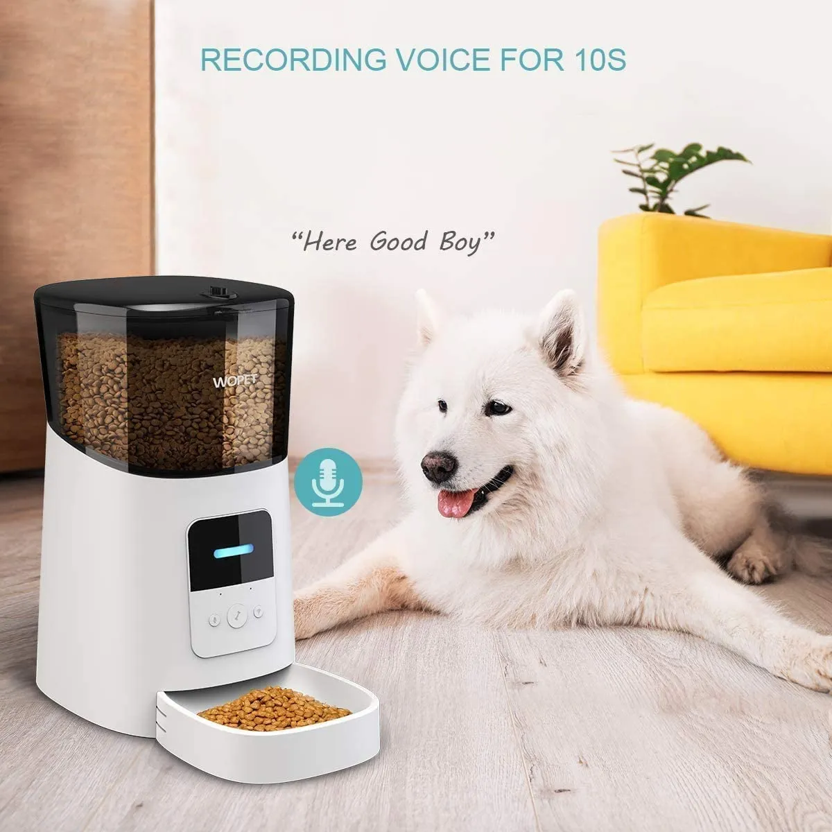 WOPET Automatic Pet Feeder: Keep Your Pets Fed & Happy, Even When You're Away!